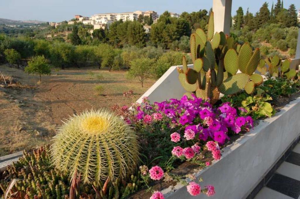 B&B Quattromulini Noto Buitenkant foto